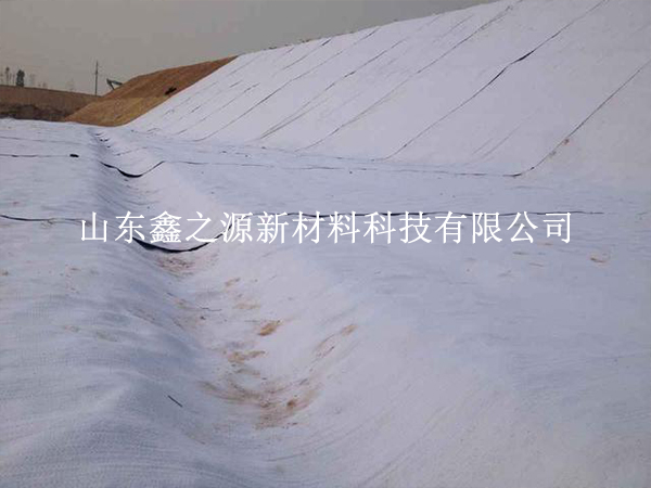 守護(hù)養(yǎng)殖基業(yè)，揭秘防滲膜防老化新策略