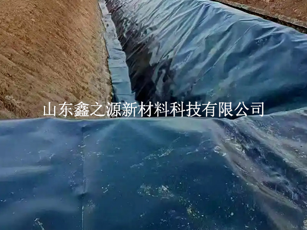 魚塘防滲膜焊縫漏了？這些檢測技巧一查一個(gè)準(zhǔn)