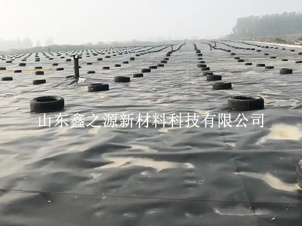 蓄水池防滲膜裁剪別亂剪，這些技巧更省心