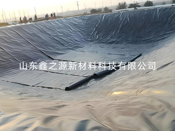 選擇防滲土工膜進(jìn)行小龍蝦養(yǎng)殖有哪些要點(diǎn)技巧？