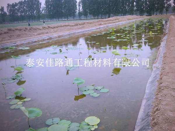 養(yǎng)殖防滲膜延伸率不足？根源在這些地方